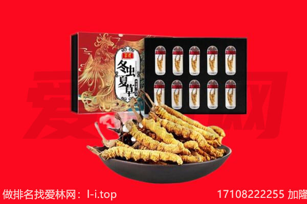 布拖县回收虫草.jpg